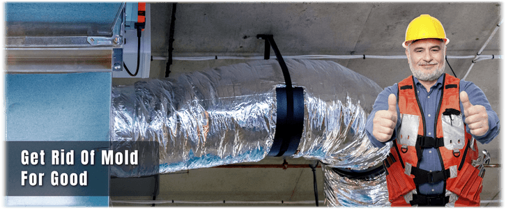 Air Duct Mold Removal in Naperville IL