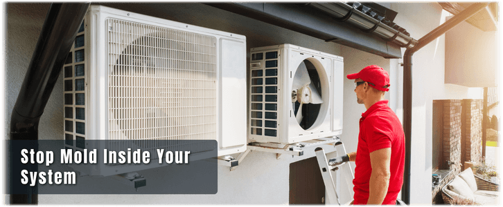HVAC Mold Removal Naperville IL
